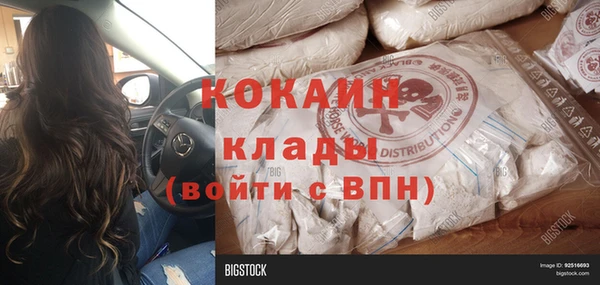 метадон Алексин