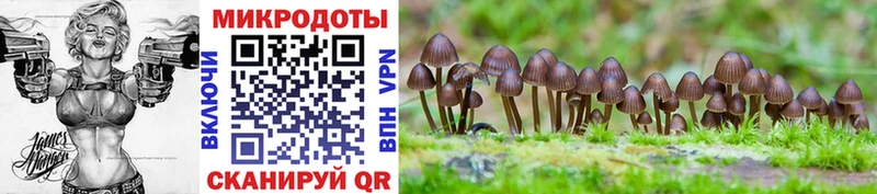 Галлюциногенные грибы Psilocybine cubensis MEGA Ртищево