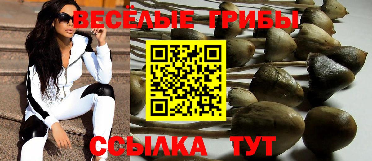 Ртищево  Галлюциногенные грибы MAGIC MUSHROOMS  Вход с VPN 