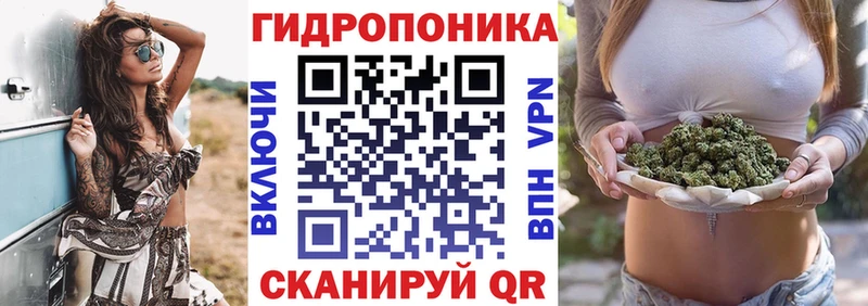 Марихуана OG Kush Ртищево